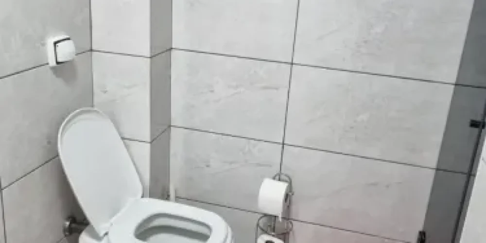 398606691011628