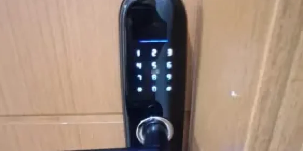 919641436227737