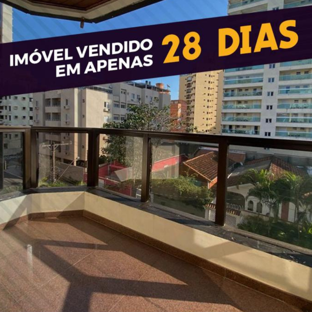 tipo-2.png